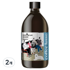 커피루소 커피모먼트 원액 콜드브루, 2개, 1개입, 500ml