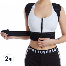 비제스코 허리 밸런스 밴드 VIGE-D11, 2개