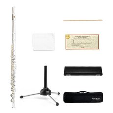 HDC YOUNG CHANG Albert Weber 長笛 AWFL-110 + 支架, 銀