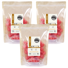 뉴트리오 대용량 애견용 치아에 좋은 껌, 소고기, 340g, 3개