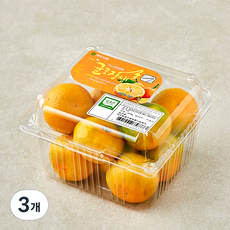귤로장생 당도선별 10brix 감귤, 3개, 800g(로얄과)
