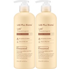 Dr.Banggiwon Lab重塑濃密髮膜, 500ml, 2入