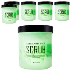 ESTESOPHY 身體去角質鹽皂 蘆薈, 1kg, 6個