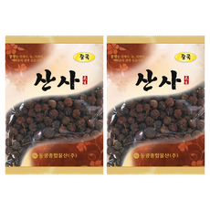 동광한방몰 산사, 150g, 2개