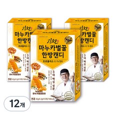 김오곤 마누카 벌꿀 한방캔디, 42g, 12개