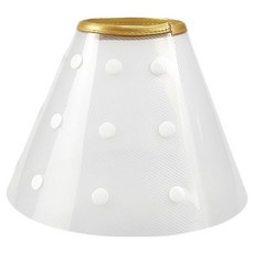 Dingdong Pet 寵物暗扣式防舔咬頭套, 透明色, 1個