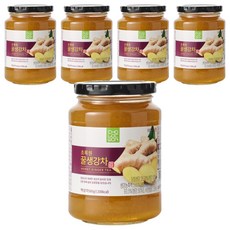 초록원 꿀생강차, 560g, 1개입, 5개