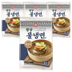 한성기업 평양 물냉면 S, 4개, 900g