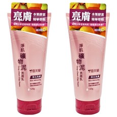 雪芙蘭淨肌礦物泥洗面乳, 深層清潔, 淨白亮膚, 添加多種礦物質, 120g, 2件