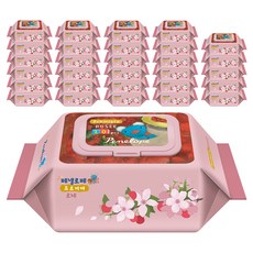 페넬로페 프르미에 로제 아기물티슈 휴대캡형, 65g, 20매, 72개