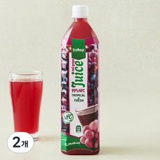 TroBest 포도착즙주스, 2개, 1L