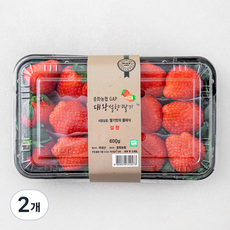 중화농협 GAP 대왕 설향 딸기, 600g, 2개