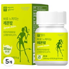 애플트리김약사네 바로 느껴지는 레몬밤, 30정, 5개