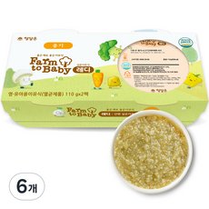 팜투베이비 레디 실온이유식 중기, 소고기, 110g, 6개