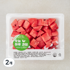오늘하루과일 수박, 2개, 1kg