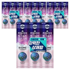 히말라야핑크솔트 담은 바이옴 잇몸 구취전문 치약, 100g, 12개