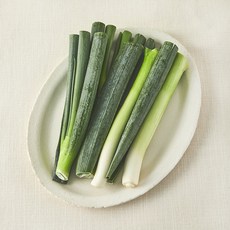 곰곰 친환경 절단대파, 300g, 1개