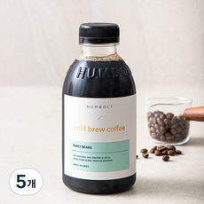 훔볼트 팬시빈스 블렌드 콜드브루 커피, 500ml, 5개
