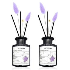 엠퓨처 프리미엄 화장실 실내 방향제 디퓨저 + 리드꽃 랜덤발송 2p 세트, 블랑솝, 150ml, 1개