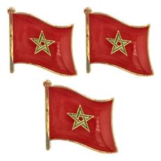 A-ONE 匯旺 摩洛哥國旗別針 Set 長15mm 寬12mm 厚1mm, 彩色, 3件