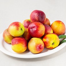 딜리조이 GAP 저탄소 천도복숭아, 1.5kg, 1팩