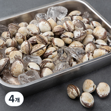 바다자리 국산 생물 새꼬막, 1kg, 4개