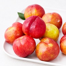 맛뜨레 새콤달콤 추희 자두, 1kg, 1팩