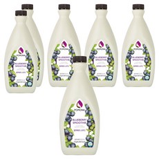 포모나 스무디 시럽 블루베리, 2kg, 6개