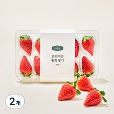 프리미엄 홍희 딸기, 350g(10~12과), 2개