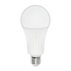 Dr.Bright 亮博士 LED 球泡燈 20W E27燈頭 亮度相當於50W螺旋 AC110V, 黃光, 1個