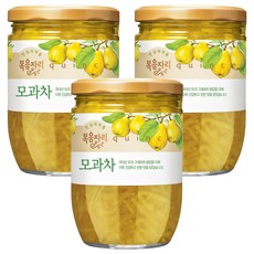 복음자리 모과차, 620g, 1개입, 3개