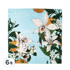 러쉬 낫랩, 6개, 바닐라리