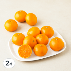 곰곰 당도선별 천혜향 10~13개입, 2개, 1.5kg