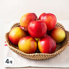 수플린 국내산 자두, 800g, 4개