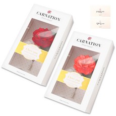 Tooyoung Design 盛開康乃馨胸花 + 卡片, 隨機出貨, 2套