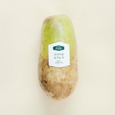 프리미엄 유기농 무, 1개입, 1개