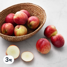 산지직송 푸드베이스 신비복숭아, 800g(8~11입), 3팩