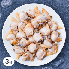 산지직송 부산 13번 중매인 바지락살 (냉장), 300g, 3개