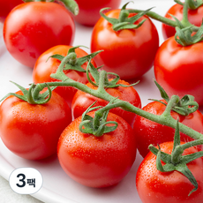 송이토마토, 700g, 3팩