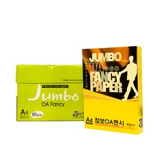 두성 종이 OA팬시페이퍼점보 P49, 500매, A4