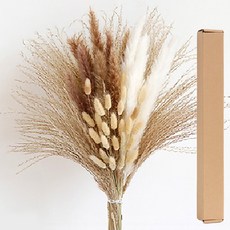 KUIBAO 快豹生活 真花乾燥花束 附紙箱 CH-008, 米杏色