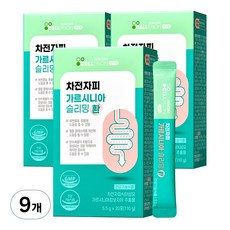이너랩 차전자피 가르시니아 슬리밍 환, 110g, 9개