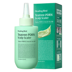 힐링버드 티트리 피디알엔 탈모증상완화 기능성 두피 스케일러, 250g, 1개
