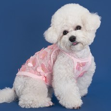 DOG-i 寵物蝴蝶網眼T恤, 粉紅色, 1個