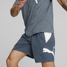 푸마 남성용 트레이닝 FAV 캣 니트 8 반바지