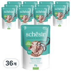 스케지어 어덜트 고양이 주식 파우치, 85g, 36개, 참치+도미