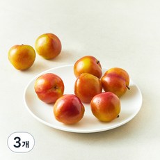 새콤 달콤한 꼬마 자두, 3개, 1kg