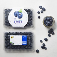 PSK 칠레산 블루베리, 310g, 2개