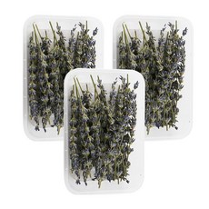 A-ONE 匯旺乾燥花 A22 Set 10支 3入, 乾薰衣草