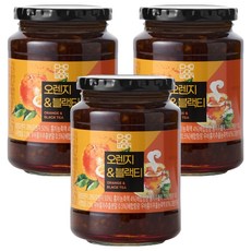 초록원 오렌지 & 블랙티 액상차, 560g, 1개입, 3개